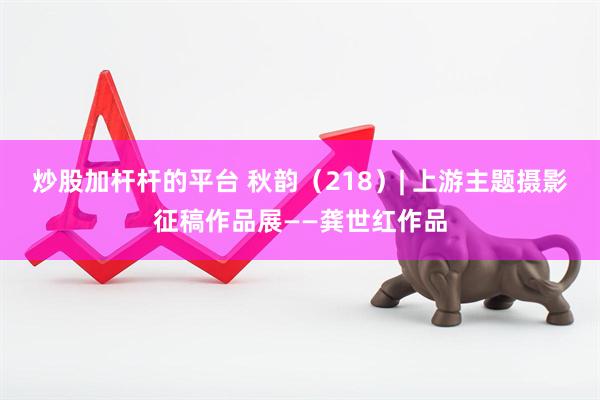 炒股加杆杆的平台 秋韵（218）| 上游主题摄影征稿作品展——龚世红作品
