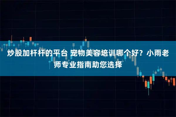 炒股加杆杆的平台 宠物美容培训哪个好？小雨老师专业指南助您选择